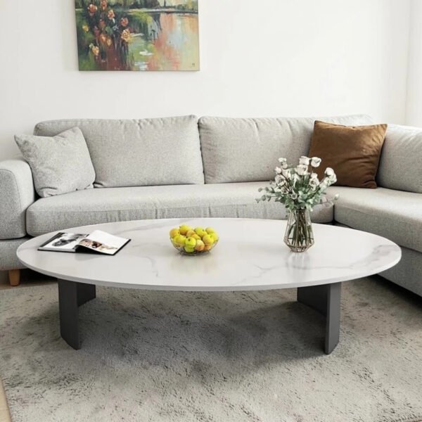 71-plywood-96-11-ctb116-tanush-furnitures-42-white-and-grey-original-imahh79pduynsfyu Oval Wooden Coffee Table Marble Finish Mica Laminate
