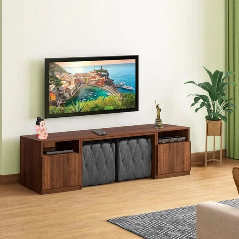 Floor TV Units