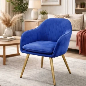 Modern Sofa Chair for Living Room