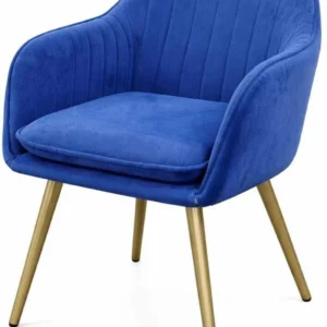 Modern Sofa Chair for Living Room