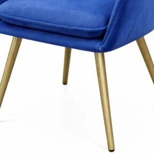 Modern Sofa Chair for Living Room
