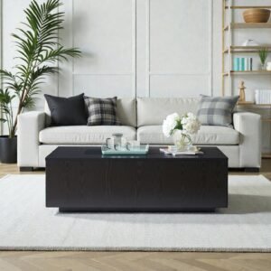 Tanush Furnitures Tanush Handcrafted Rectangular Wooden Coffee Table (Black) - Image 1