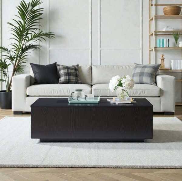 100-plywood-74-10-ctb35-tanush-furnitures-35-black-original-imahjhseu5qzmyca.jpeg