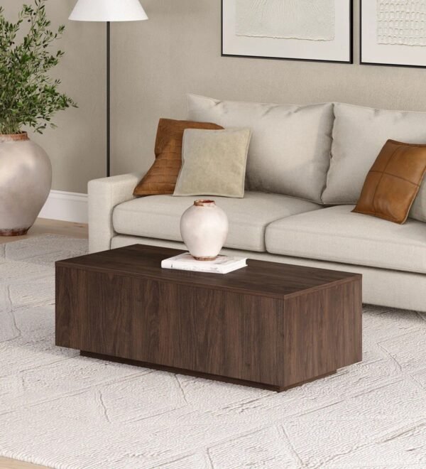 100-plywood-74-13-ctb33-tanush-furnitures-35-brown-original-imahmhstetq3y5jx.jpeg
