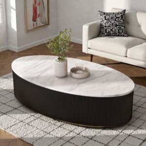 Tanush Furnitures Modern Aurus Fluted Oval Coffee Table with Storage (Black)