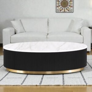Tanush Furnitures Modern Aurus Fluted Oval Coffee Table with Storage (Black) - Image 7