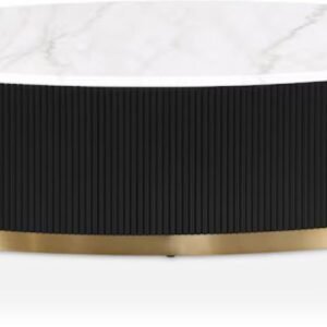 Tanush Furnitures Modern Aurus Fluted Oval Coffee Table with Storage (Black) - Image 2