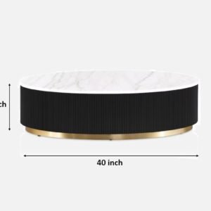 Tanush Furnitures Modern Aurus Fluted Oval Coffee Table with Storage (Black) - Image 3