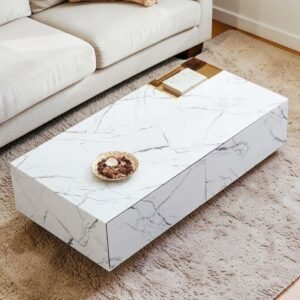 Tanush Furnitures Vidhan Architectural Dual-Drawer Luxury Coffee Table (White and Brown) - Image 2