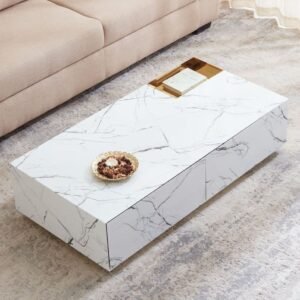 Tanush Furnitures Vidhan Architectural Dual-Drawer Luxury Coffee Table (White and Brown) - Image 6