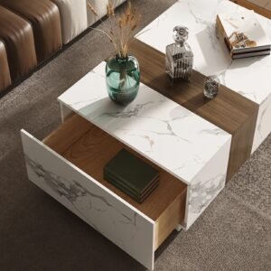 Tanush Furnitures Modern Lunara Contemporary Wood Coffee Table (White and Brown) - Image 1