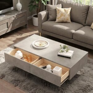 Tanush Furnitures Modern Wooden Storage Coffee Table (Slate Grey) - Image 2
