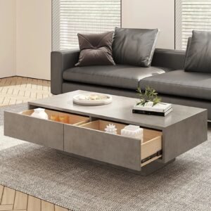 Tanush Furnitures Modern Wooden Storage Coffee Table (Slate Grey) - Image 1