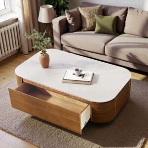 Tanush Furnitures Modern Aurum Coffee Table with Storage (Brown)
