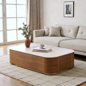 Tanush Furnitures Modern Aurum Coffee Table with Storage (Brown) - Image 5