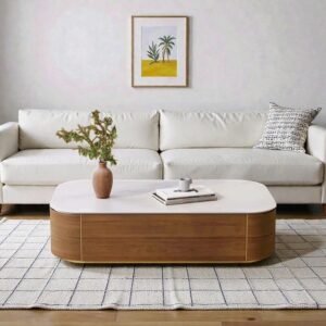 Tanush Furnitures Modern Aurum Coffee Table with Storage (Brown) - Image 6