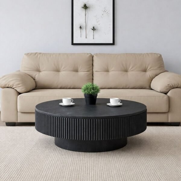 71-plywood-71-10-ctb72-tanush-furnitures-42-black-original-imahkfq3hz3ukmcb.jpeg