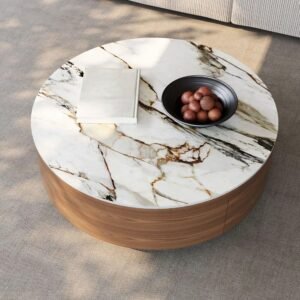 Tanush Furnitures Orion Luxe Round Coffee Table with Marble-Effect Finish & Storage (Brown) - Image 5