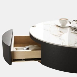 TANUSH FURNITURES Modern Rio Dark Wood Coffee Table with Storage ( 2 Drawers ) (Black) - Image 5