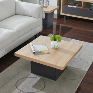Tanush Furnitures Modern Designer Pie Coffee Table (Natural and Black) - Image 1