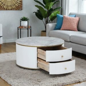 Tanush Furnitures Calmora Pearl Round Coffee Table with Marble-Finish Wooden Surface and Storage (White) - Image 1