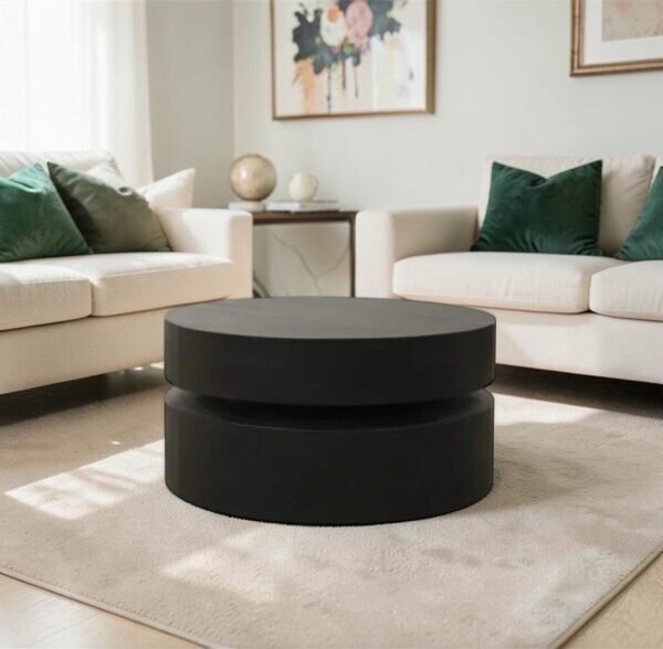 76-plywood-76-9-ctb129-tanush-furnitures-42-black-original-imahh9dgh7gwuxpz.jpeg