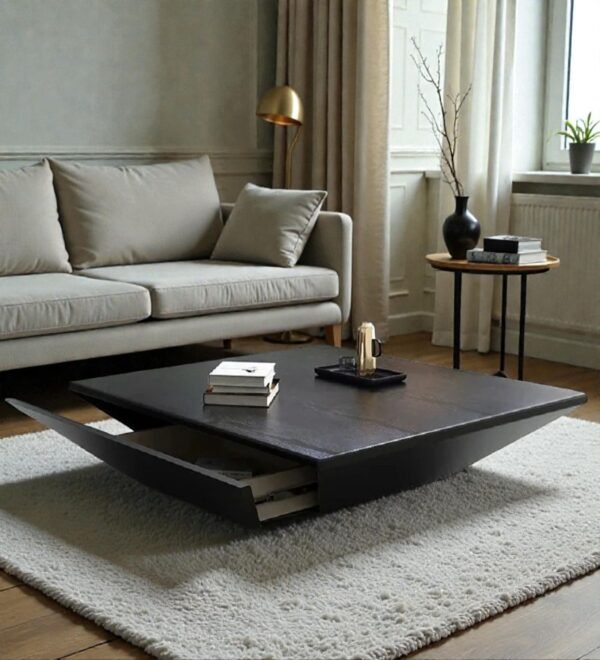 81-plywood-81-12-ctb013-tanush-furnitures-42-black-original-imahkg8dcuxqzcvr.jpeg