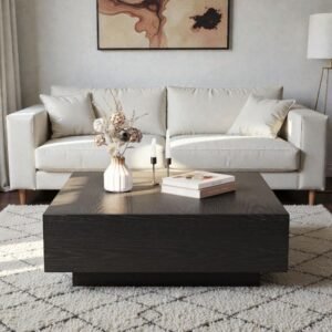 Tanush Furnitures Square Coffee Table - CTB59 (Black) - Image 8