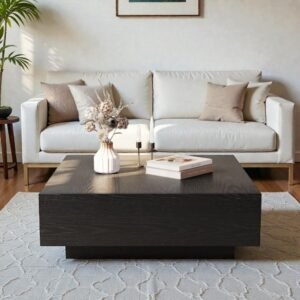 Tanush Furnitures Square Coffee Table - CTB59 (Black) - Image 2