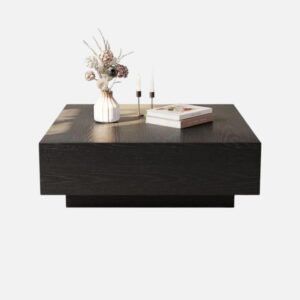 Tanush Furnitures Square Coffee Table - CTB59 (Black) - Image 4