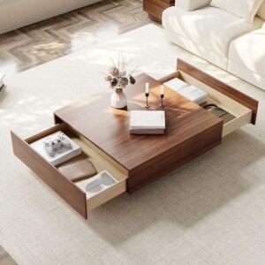 Tanush Furnitures Noka Luxe Coffee Table with Dual Drawer (Walnut Brown) - Image 1