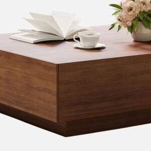 Tanush Furnitures Noka Luxe Coffee Table with Dual Drawer (Walnut Brown) - Image 7