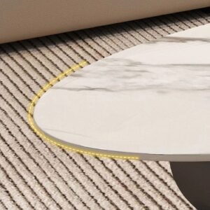 Tanush Furnitures Modern Aurex Coffee Table (black and white) - Image 7