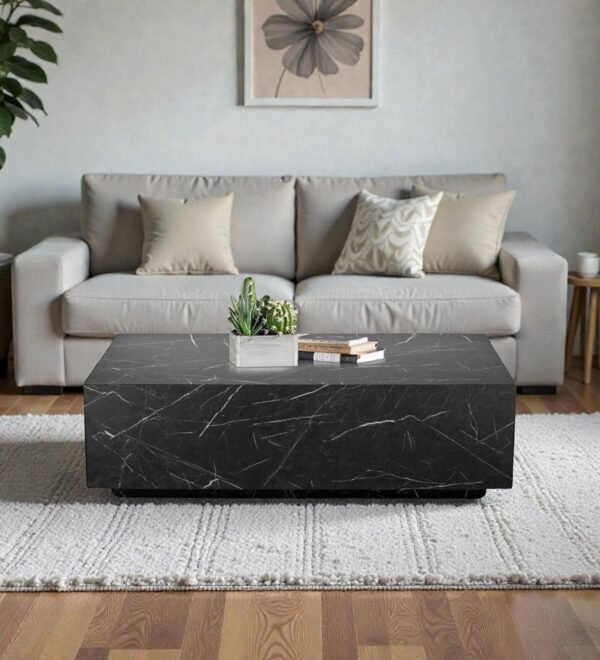 99-plywood-73-16-ctb23-tanush-furnitures-33-black-original-imahkg8regqkwzw6.jpeg