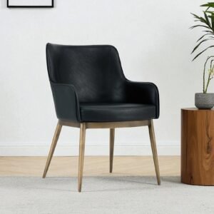 Aspen Studio Mid-Century Modern Leather Armchair in Black Color - Image 1