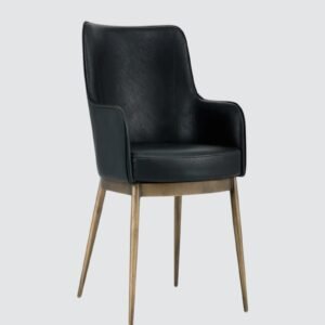 Aspen Studio Mid-Century Modern Leather Armchair in Black Color - Image 3