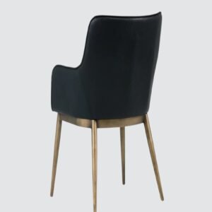 Aspen Studio Mid-Century Modern Leather Armchair in Black Color - Image 6