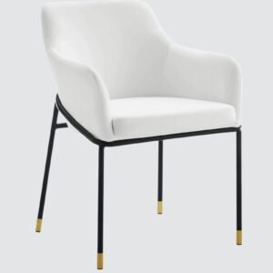 The Elarion Classic-Modern Fusion Chair in Leatherette Upholstery with White Colour - Image 3