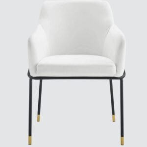 The Elarion Classic-Modern Fusion Chair in Leatherette Upholstery with White Colour - Image 4