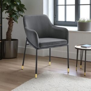 The Elarion Classic-Modern Fusion Chair in Leatherette Upholstery with Black Colour - Image 1