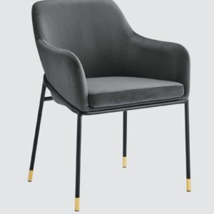 The Elarion Classic-Modern Fusion Chair in Leatherette Upholstery with Black Colour - Image 3