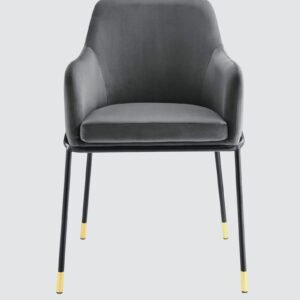 The Elarion Classic-Modern Fusion Chair in Leatherette Upholstery with Black Colour - Image 4