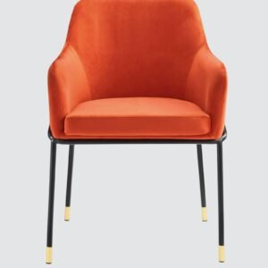 The Elarion Classic-Modern Fusion Chair in Leatherette Upholstery with Orange Colour - Image 4