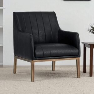 Modern Omee Black Leatherette Accent Chair with Black Colour - Image 1