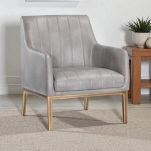 Modern Omee Denim Blue Leatherette Accent Chair with Grey Colour - Image 1