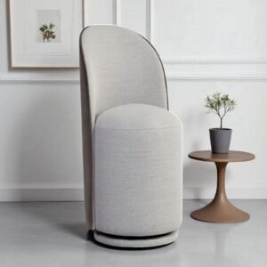 Deona Contemporary Modern Chair with Grey Colour - Image 1